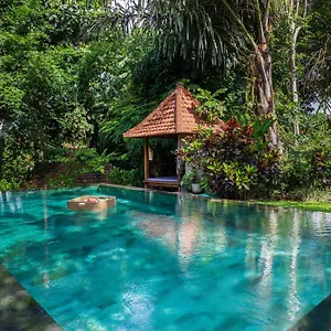  Villa Sari Bamboo Indonesia