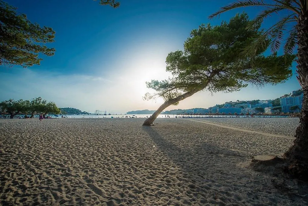 Flipflop Surfing Playa Apartment Santa Ponsa